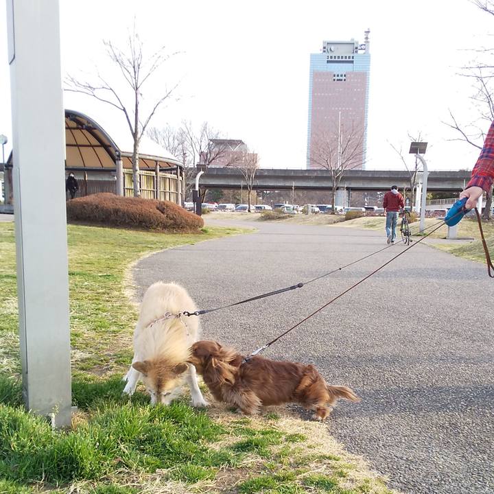 5574e895 2398 4b3d a789 00127a18e121 1583053387407