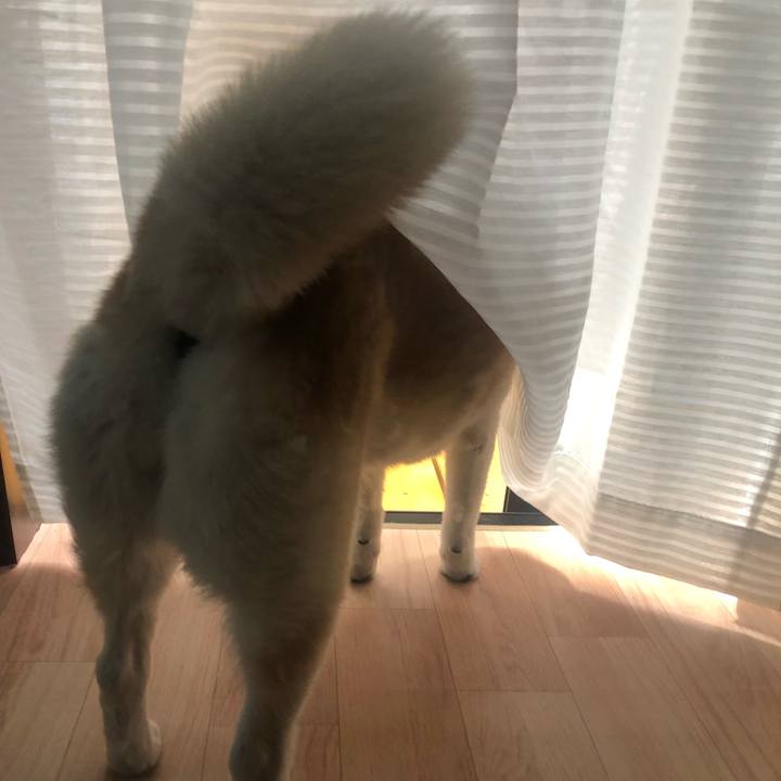 55757519 bbc5 4bae a38c d41065b7bd74 1559354314374