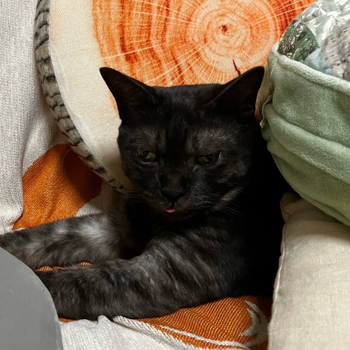 55757a9e 28de 45e5 9bb7 12baf74177d1 1732978253533