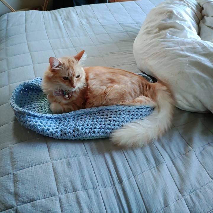 5575c1f4 4d2e 48b7 b577 17742d30a668 1662969745966