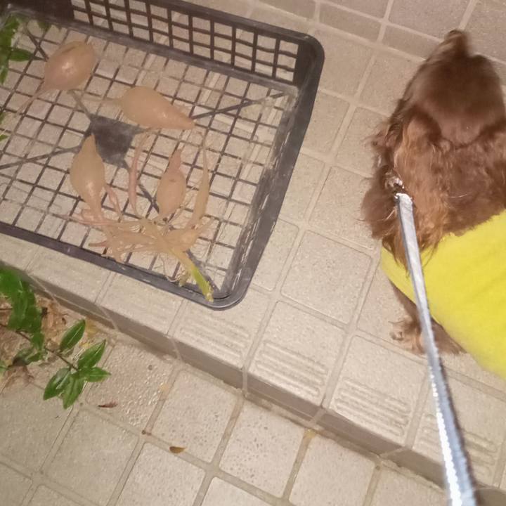 5575eac6 2c18 4435 b780 229f47fa1d44 1763413947544