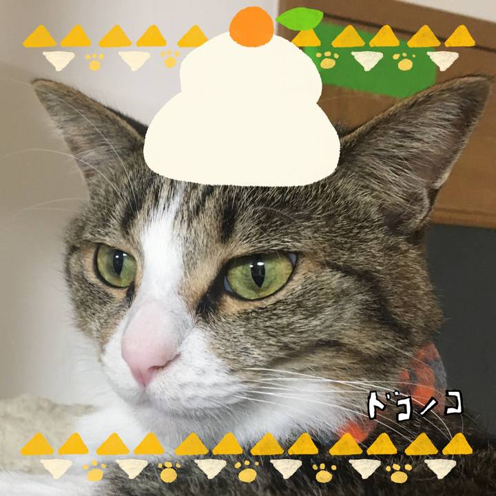 5575edc2 15c8 4cc0 8683 8437ef395b28 1704469010809