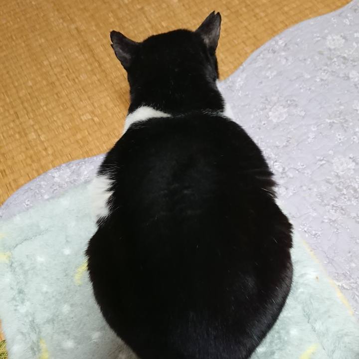 55767697 dfd6 41e0 8920 2b12e1422ae3 1545710124577