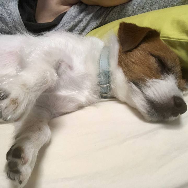 557682a7 cdf4 44ce bdc3 11ce0cb44577 1551111169095