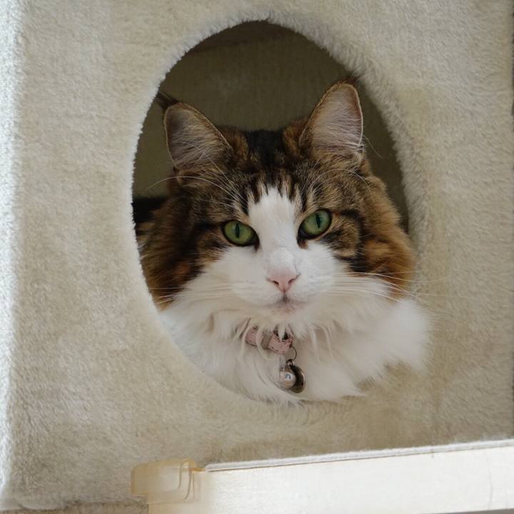 55769fb9 cf77 4874 ba42 5c3705ed88f8 1670400297790