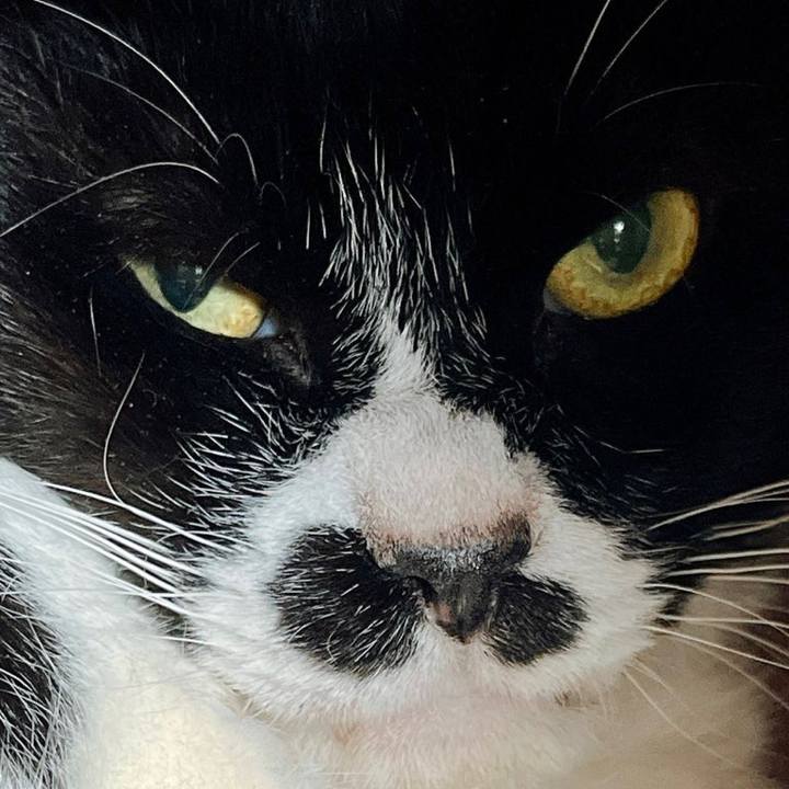 5576a0ff c66a 498a 8cb6 ce7b3c2de969 1677912593750