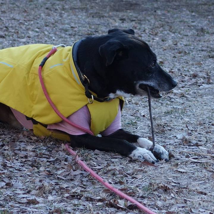 5576bcdf 6c8a 4793 8e00 97629c2d14d8 1738198193319