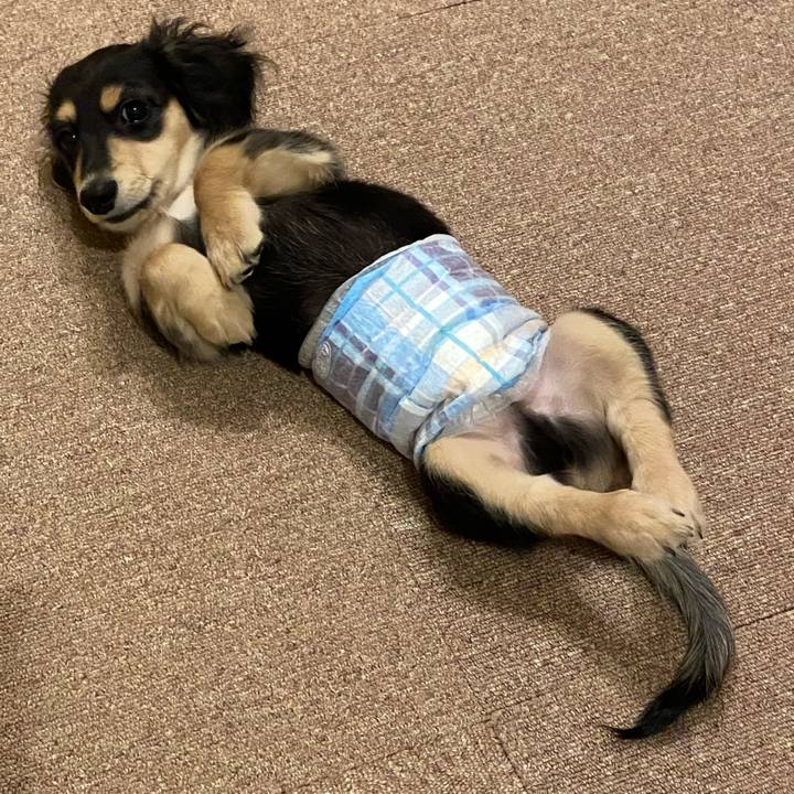 5576de46 292d 45b7 b7a0 cdaae8ea452d 1668524036581