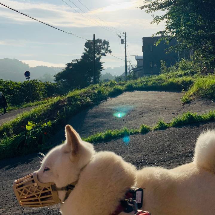 55770f71 5786 474f 9b94 4ae04226b091 1597095598500