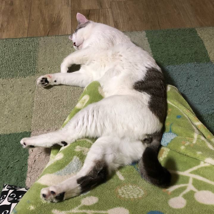 55773340 1b57 446a b856 5300234bb253 1606530699541