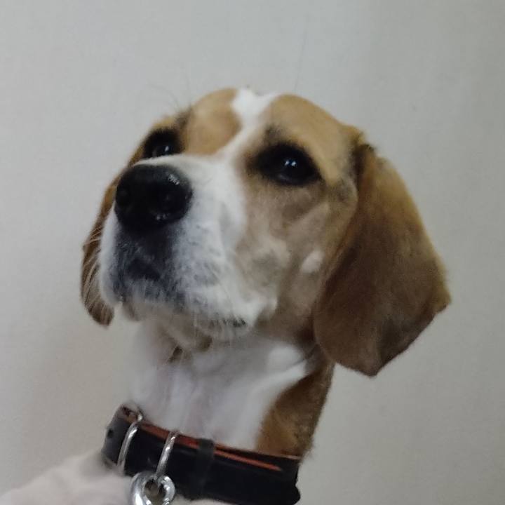 5577723b f6bd 4af2 b7cb c0364a6933f8 1637412321980