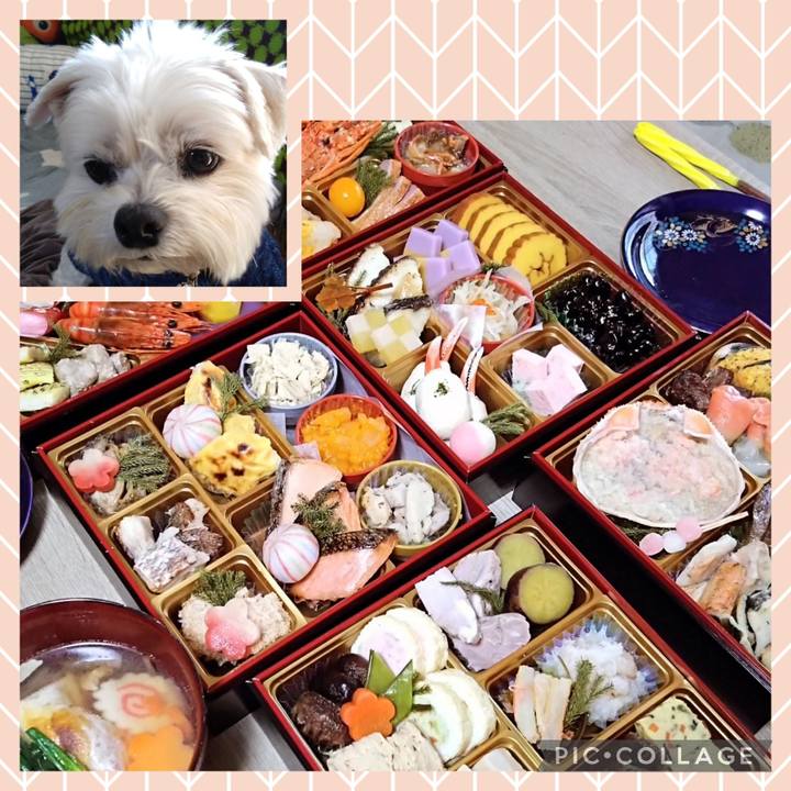 5577b999 d3ac 48d8 ae75 a57318f255c1 1704197436783