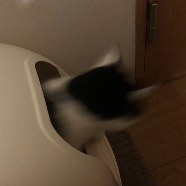 5577c948 7044 41db 8b24 a4b15e2d028f 1553532168851