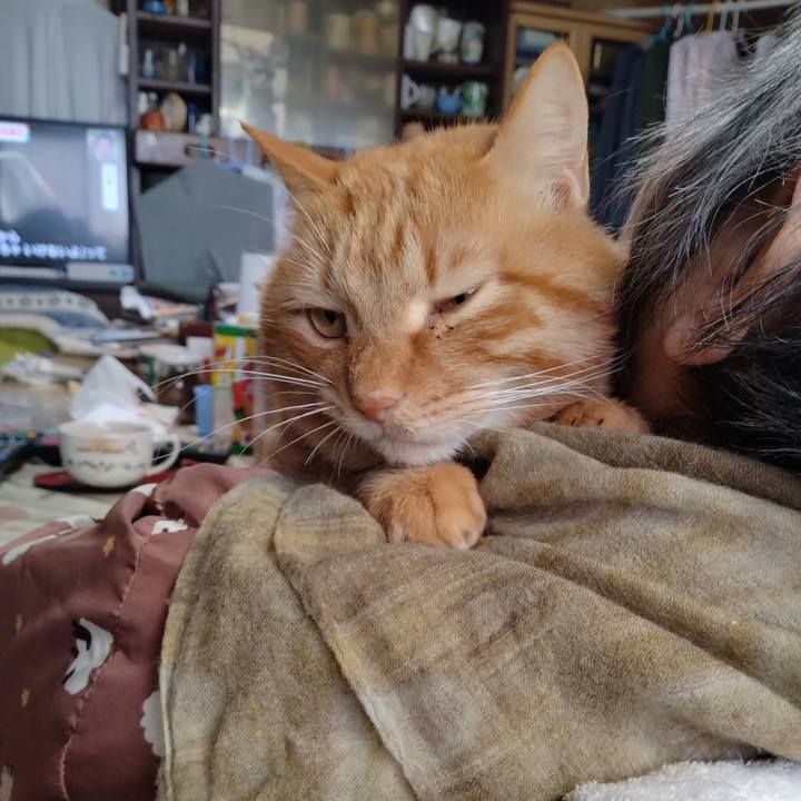 55781267 8f33 4778 9ad5 95dee92dc2dc 1738133804764