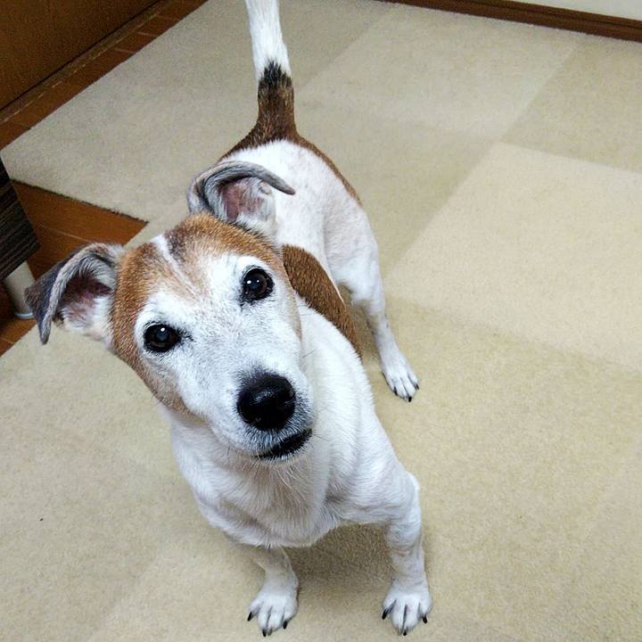 5578654a 1ade 428c 8248 ce5784a12575 1574201729774