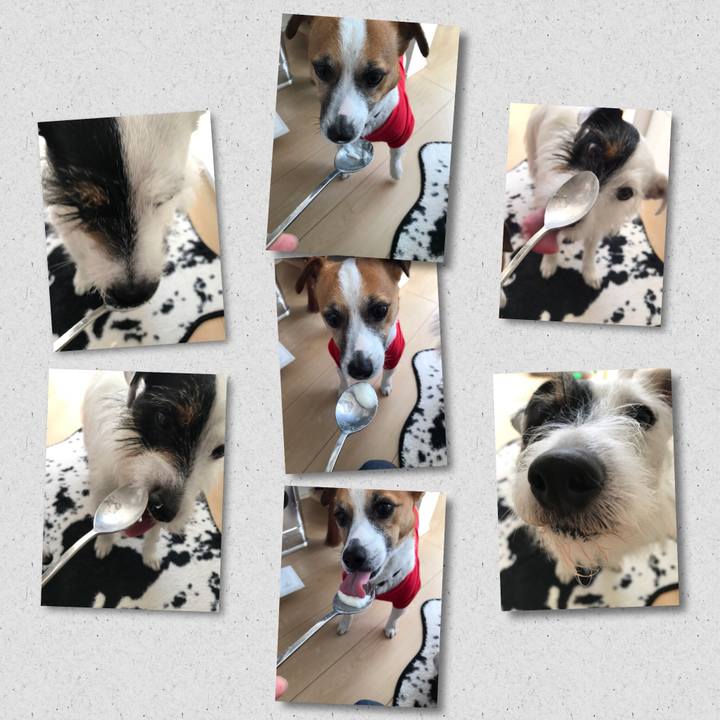 55787e14 9ebf 412c bf05 6687973a03af 1524782578332