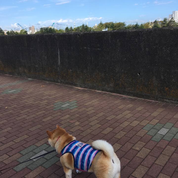 5578a0d1 dee6 4f59 bb57 665655976ad2 1569370646606