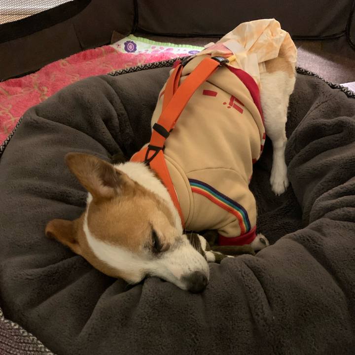 5578bfac ea91 4c62 938f 9bcf5f886a7b 1646138750626