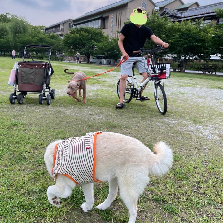 5579298d 4f4f 4b70 9600 07e9b3155501 1655471738555