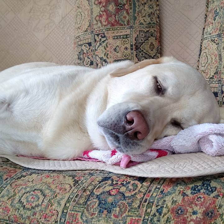 5579cf73 5606 4a3a 9739 9aaaaf1e56cf 1664956021313