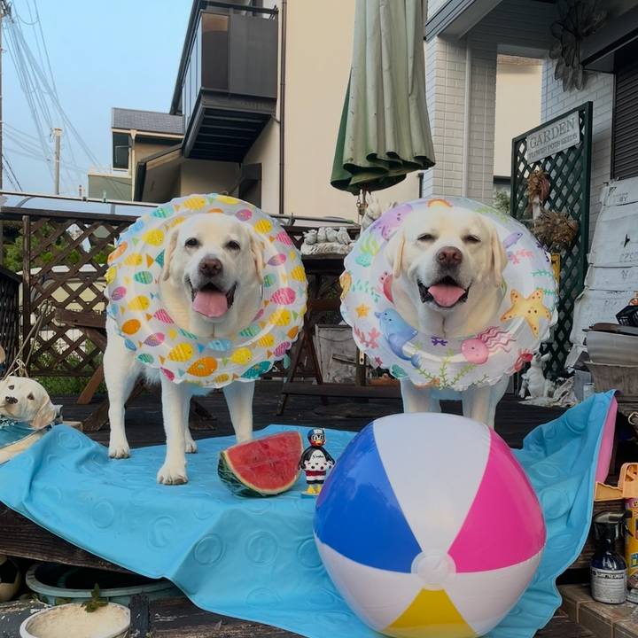 5579d0f8 290f 40ca baf1 73ea4cbd69ea 1764222467301