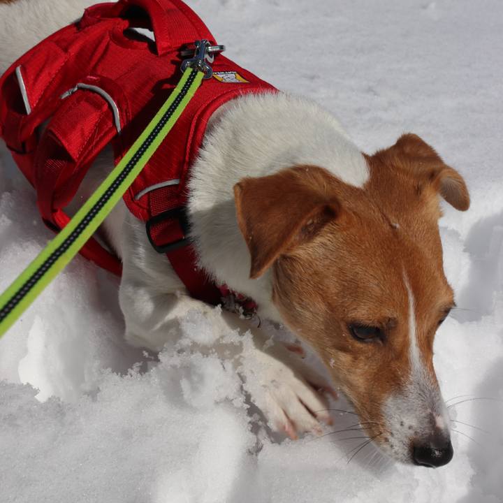 5579ed1e 7946 4f23 8119 9d3f960862d1 1517633922262