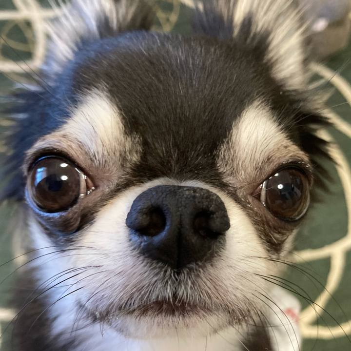 557a12cf 94c3 41cf 8264 bf6a678094be 1639871723460