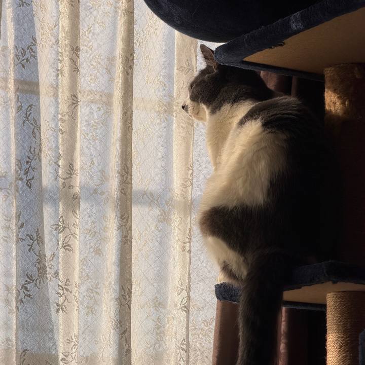 557a1694 b133 4ad6 b4b4 44954a6bd2d1 1770680266809