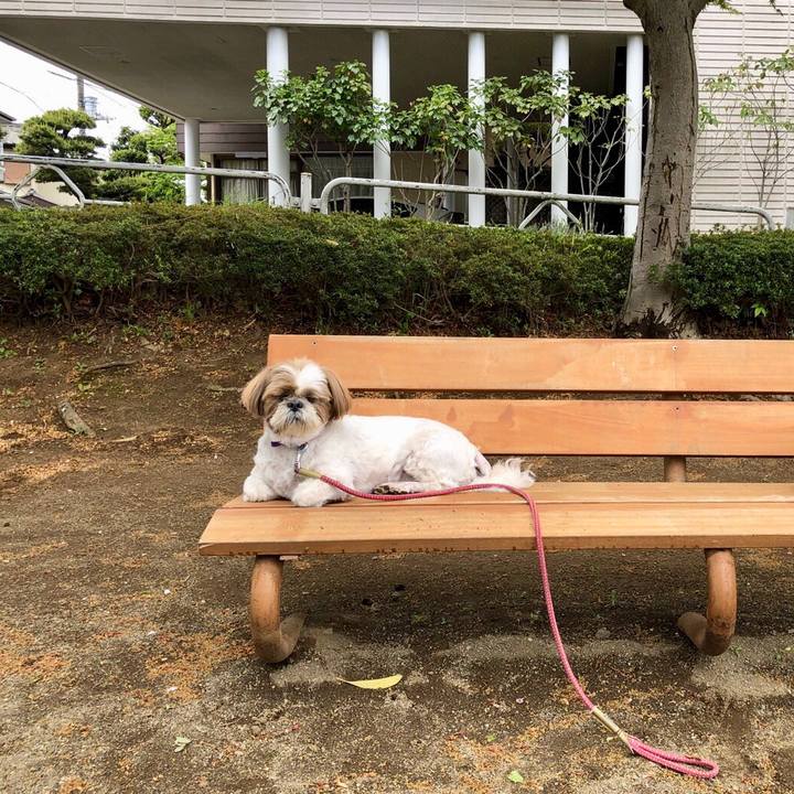 557a1a89 ca03 4f7f 9fa0 220210229d6d 1556163844247