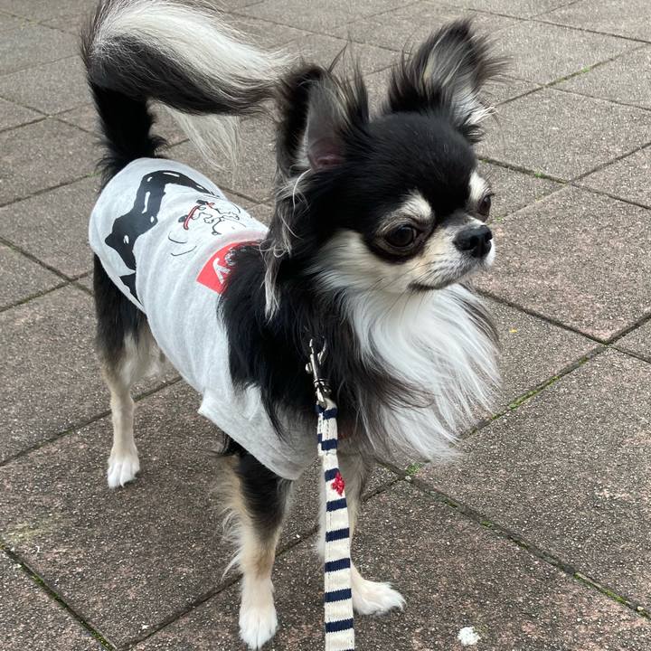 557a5b37 154b 4fc8 80d4 7edd37703f06 1617422931013