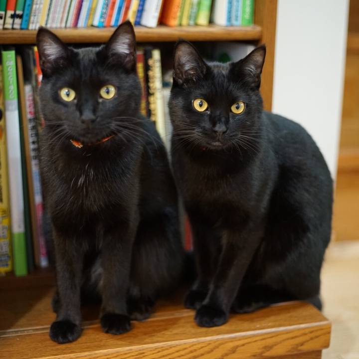 557a5f44 8b76 4baf 82a3 81680115e372 1521690380771