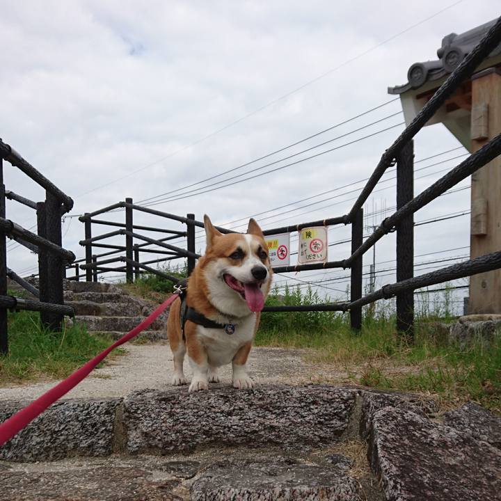 557a71c2 7f38 4303 a9d8 9d30044abcb9 1633570772223