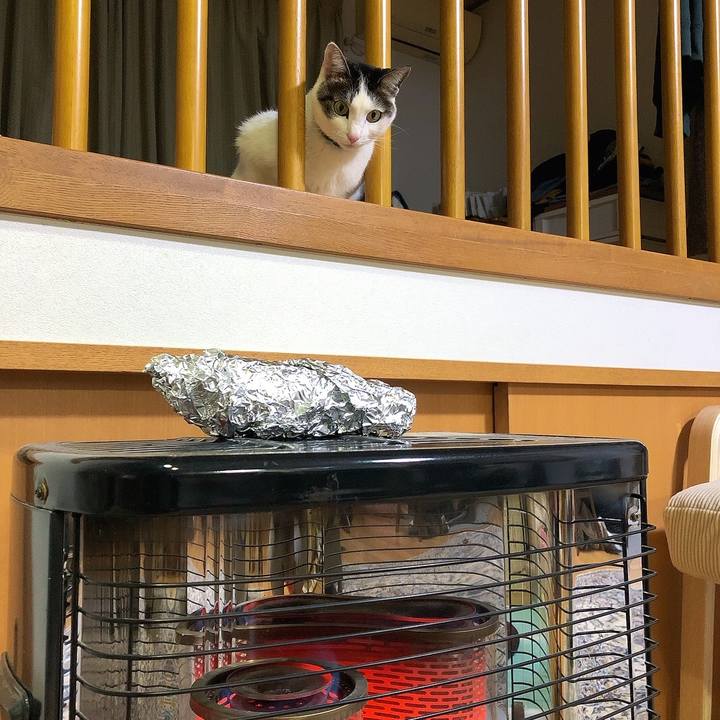 557a75cd 1bb4 4c51 8138 4070accb0406 1674640750224