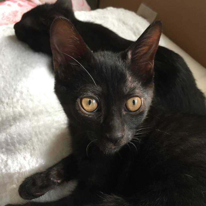 557a9df6 1a5b 4015 83d0 90fa8c1ca605 1627871239160