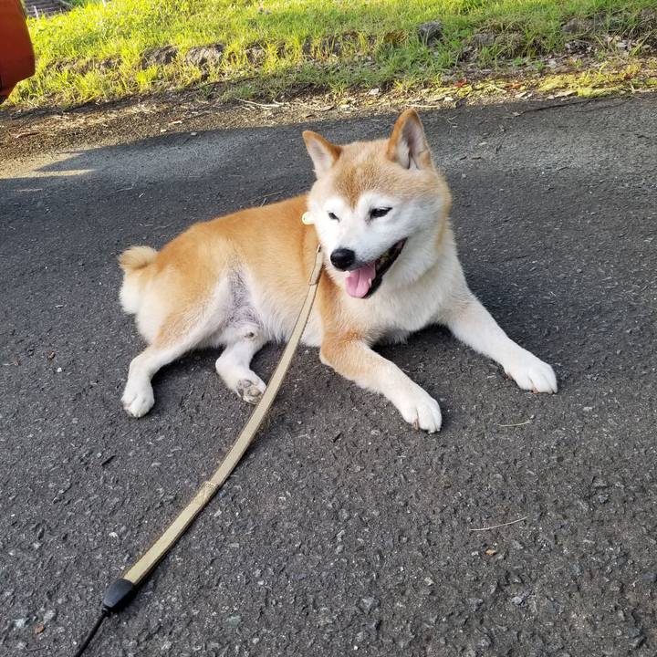 557ab286 a271 4582 8f59 2ee19dd5cd87 1659689477140