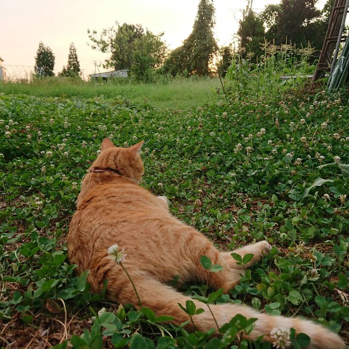 557ab7dd 7182 4bcd b210 3410030f821d 1565602590120