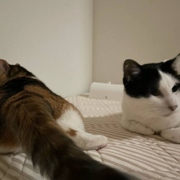 557ab802 e938 4ceb a2e6 acd3463f796f 1658672431292