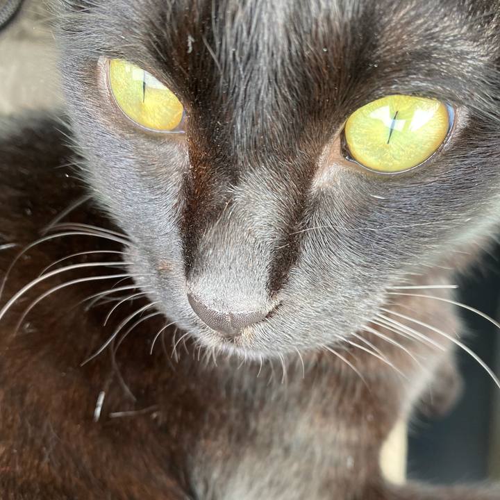 557acd79 17e3 4a5f 8199 6d93ce70c750 1607315684027