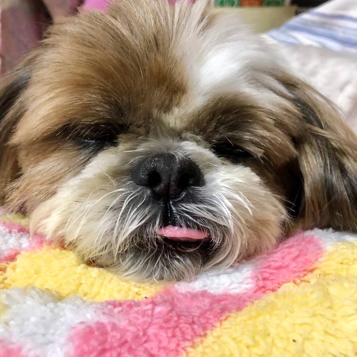 557af8c3 e924 4662 8830 aa7af63c6a13 1555337423627