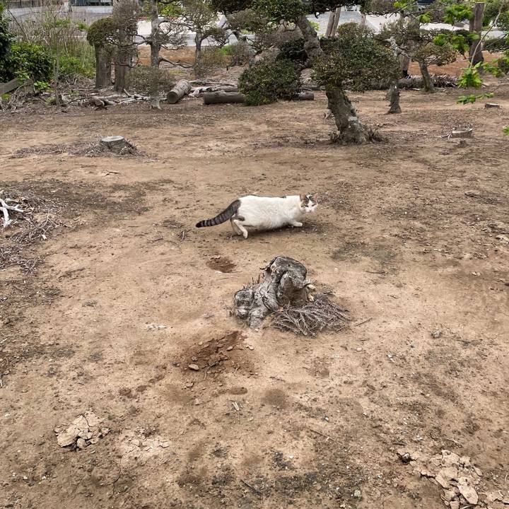 557b7fb5 9831 4672 9d0c 3e153ccaf392 1713824674448