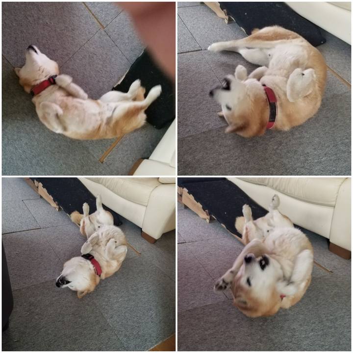 557b8bd6 c7e6 4adf 996a 10761f6cda66 1744759150876