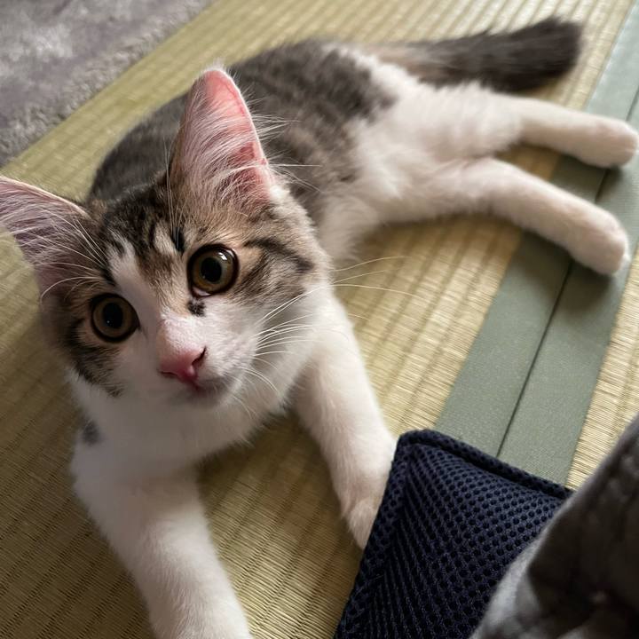 557b9285 d305 40ee 952b fa439ffad712 1691360787576