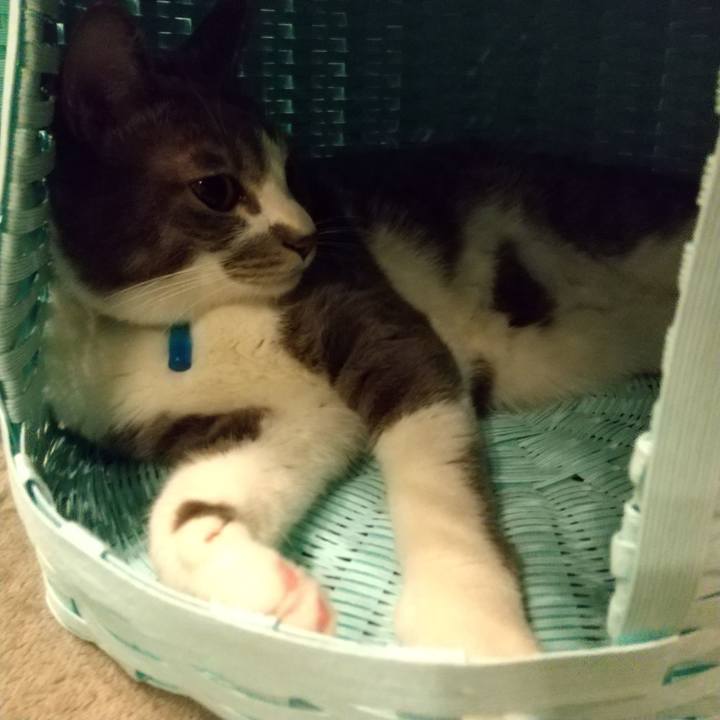 557bbb68 3f69 4a16 a535 6b8c871b832a 1615728016335