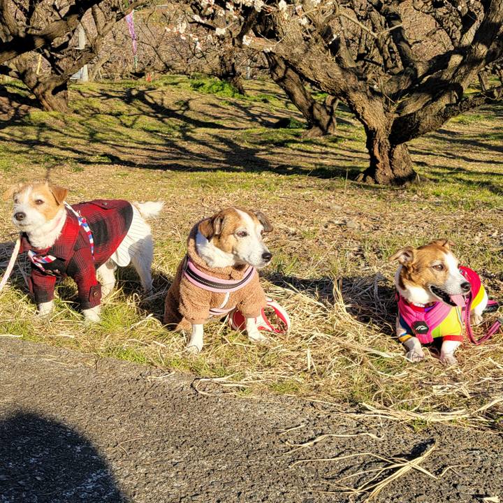 557bc8b4 f835 4663 8cd0 3f2c2de324f3 1739137731875