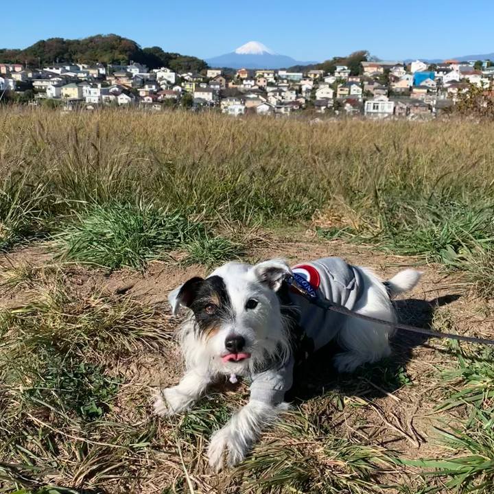 557c12c5 7f62 4e68 819f 341ff937fad6 1700354613494