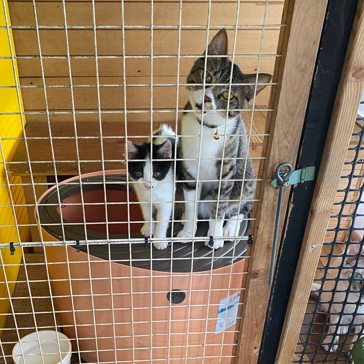 557c4ee8 b476 49f2 9ec1 83795ff95eeb 1653453264078