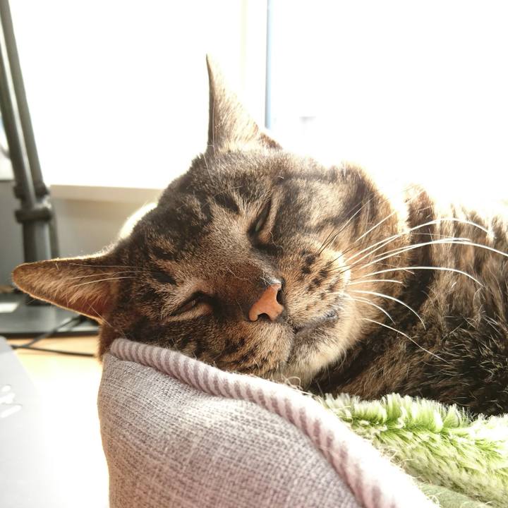 557cb975 af07 4c98 b6aa 2f71c107474a 1540954042826