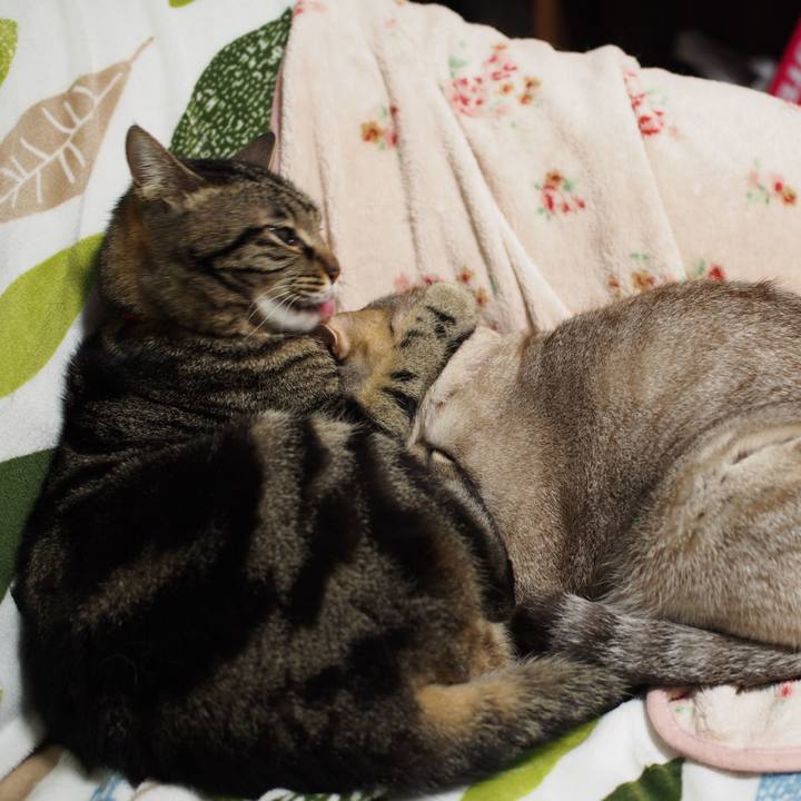 557d39de a7a2 4bd9 92c4 c93a62ba4c78 1587210005548