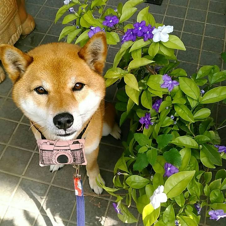 557d4253 963d 4254 9834 6077807fd257 1558224039972