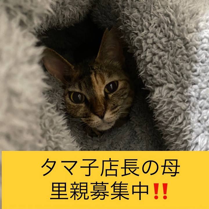 557d49f0 2f71 4fde b138 b03b0feab49d 1626672725135